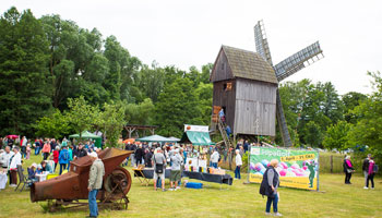 Impressionen vom Mühlentag 2025