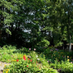 Foto Obermühle