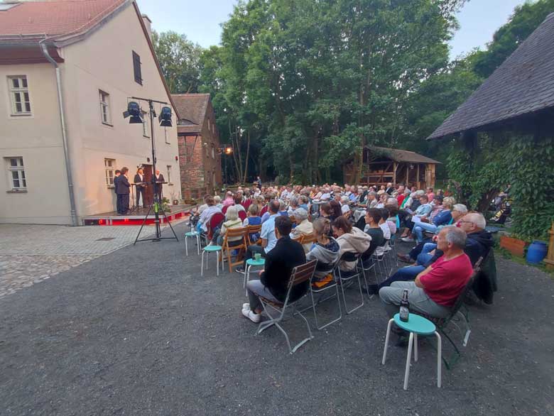 Besucher beim Konzert